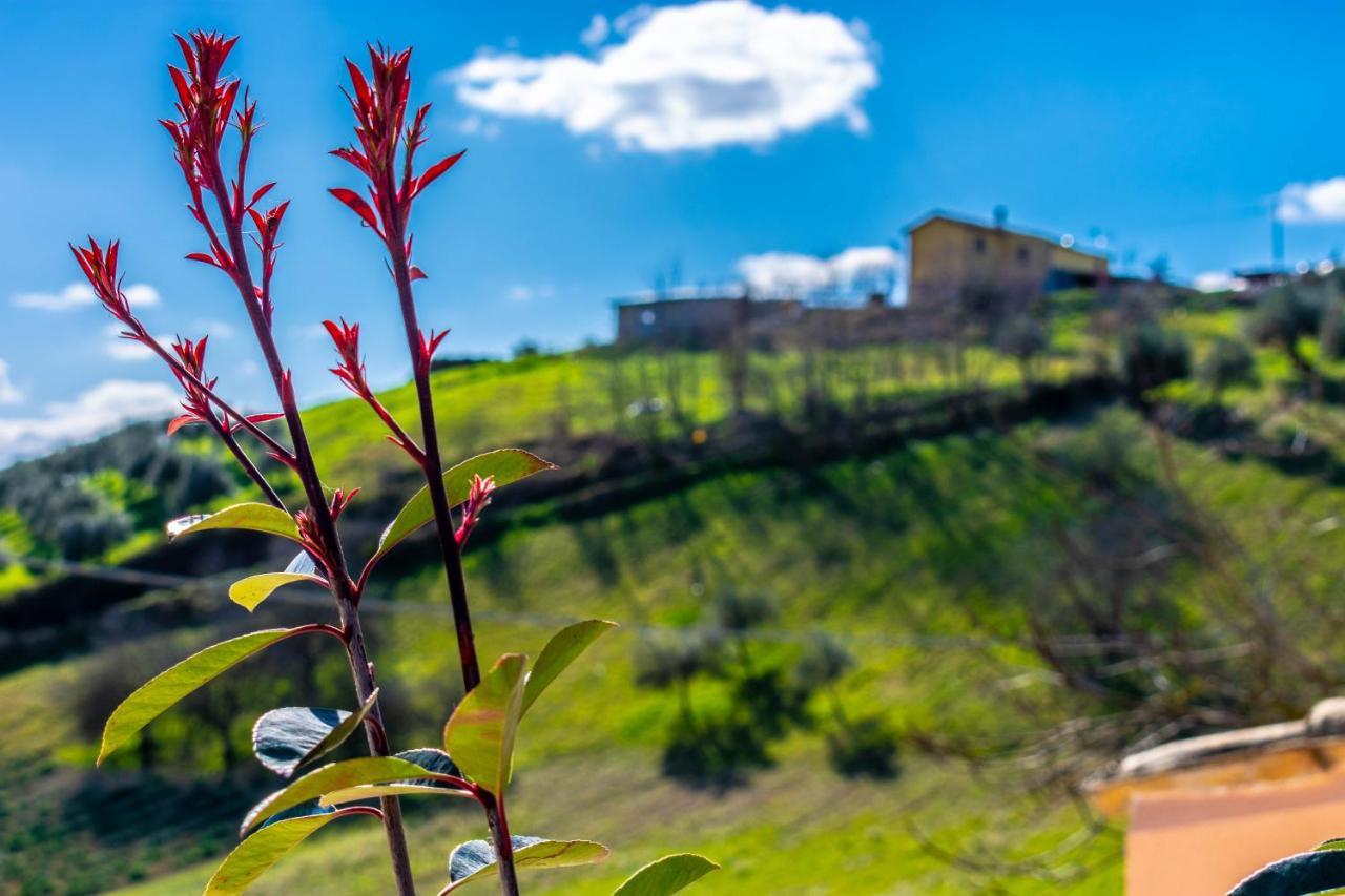 مبيت وإفطار Spoltore La Casa Del Nonno المظهر الخارجي الصورة