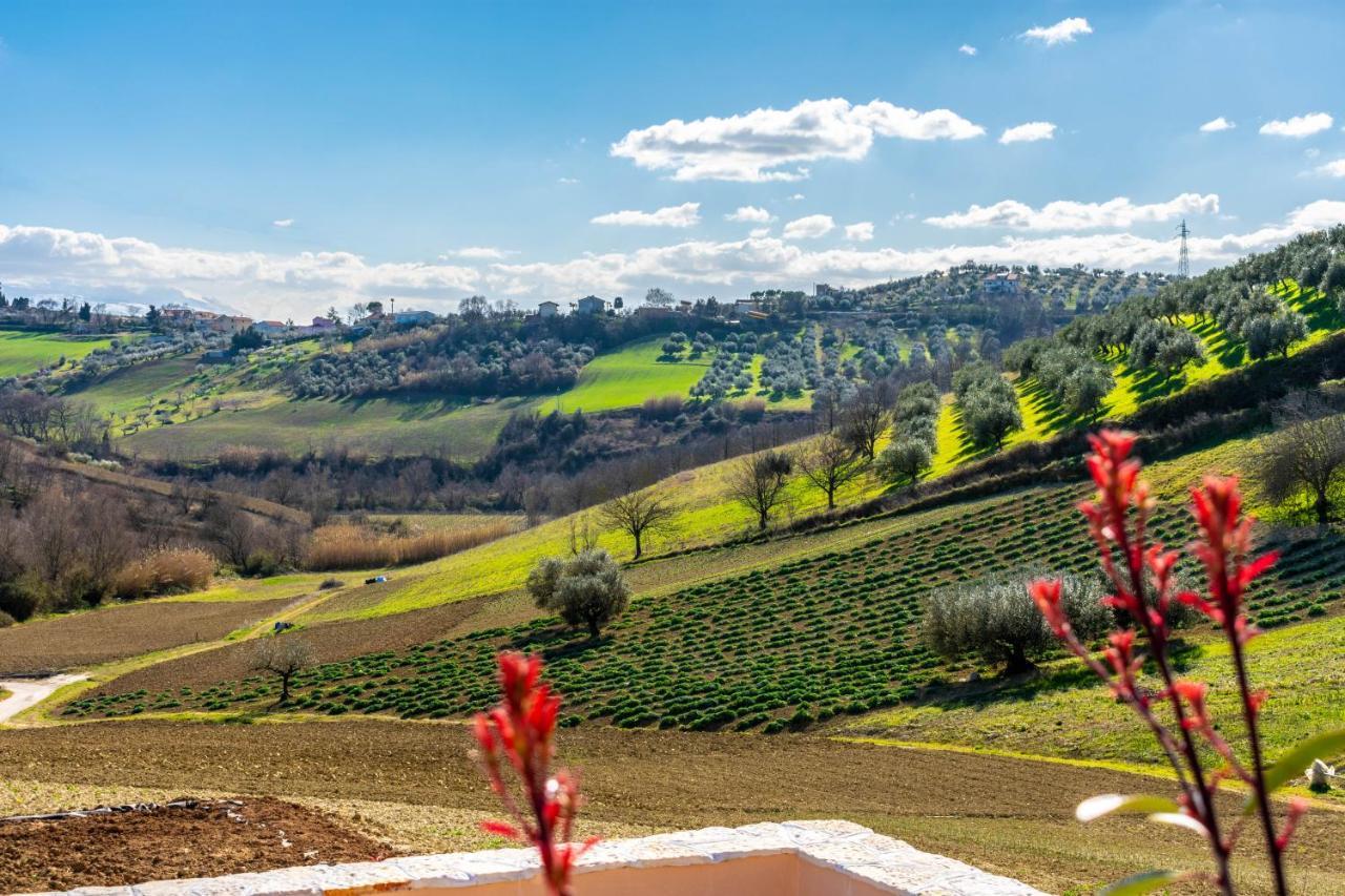 مبيت وإفطار Spoltore La Casa Del Nonno المظهر الخارجي الصورة